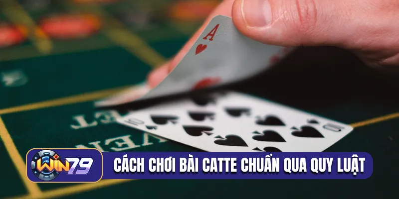 Cách chơi bài catte chuẩn qua quy luật